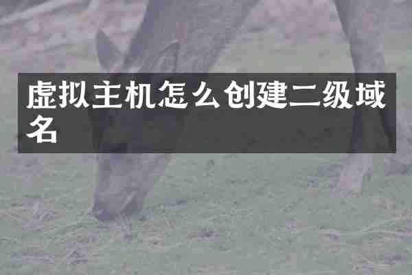 虚拟主机怎么创建二级域名