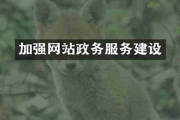 加强网站政务服务建设