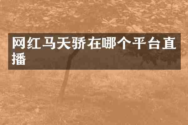 网红马天骄在哪个平台直播