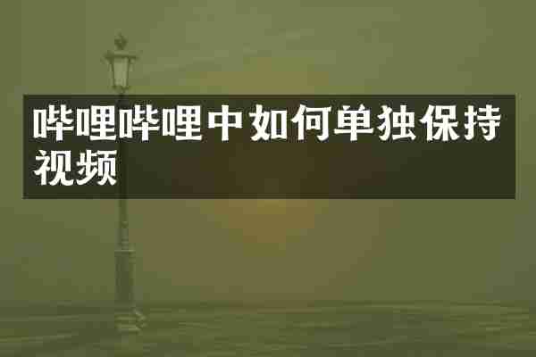 哔哩哔哩中如何单独保持视频