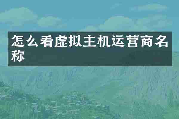 怎么看虚拟主机运营商名称