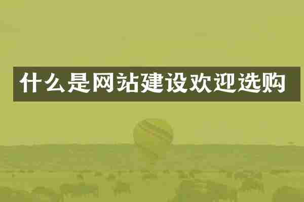 什么是网站建设欢迎选购