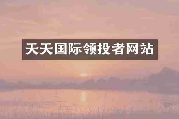 天天国际领投者网站