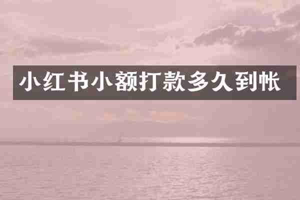 小红书小额打款多久到帐