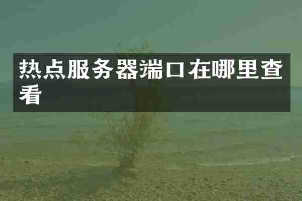 热点服务器端口在哪里查看