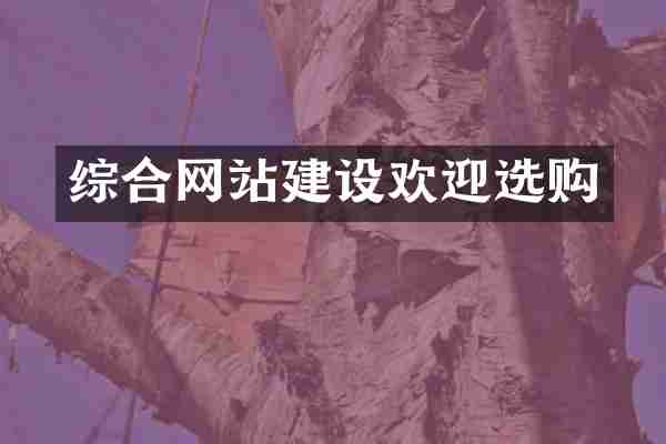 综合网站建设欢迎选购
