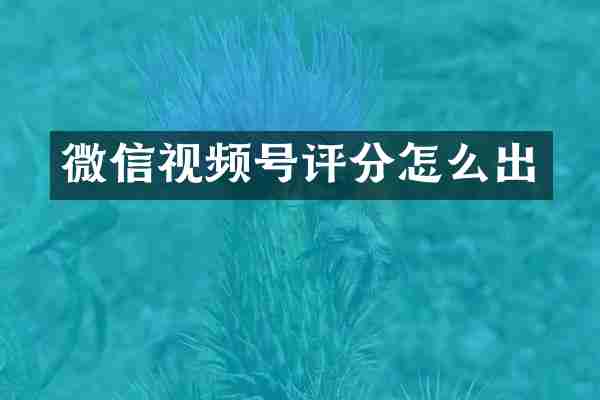 微信视频号评分怎么出
