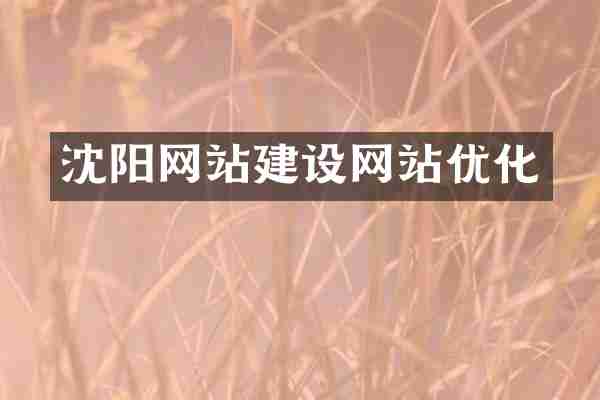 沈阳网站建设网站优化