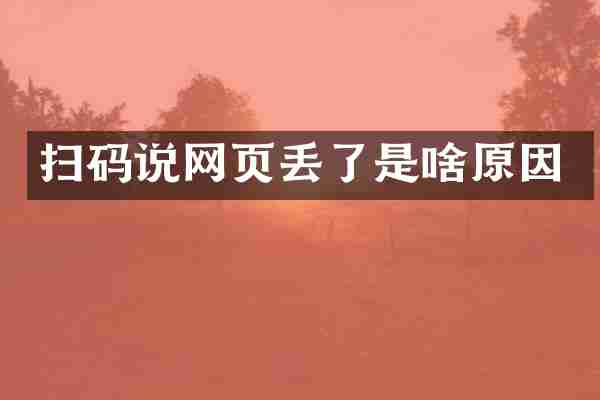 扫码说网页丢了是啥原因
