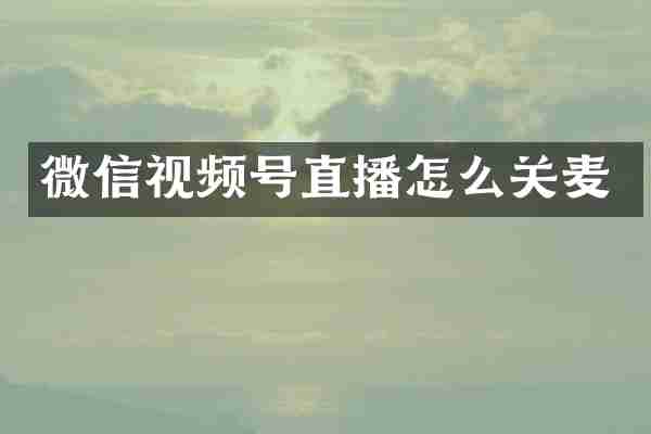 微信视频号直播怎么关麦