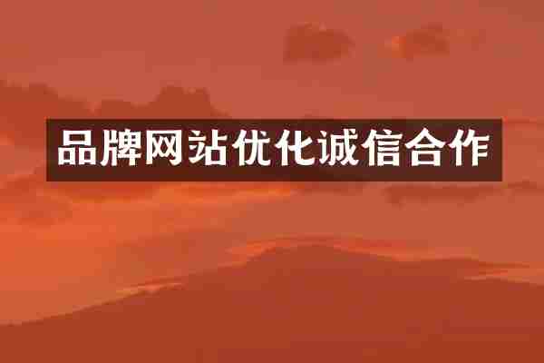品牌网站优化诚信合作