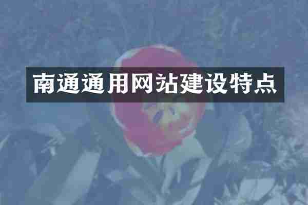 南通通用网站建设特点