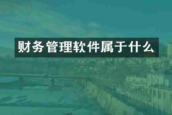 财务管理软件属于什么