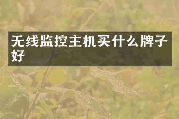 无线监控主机买什么牌子好