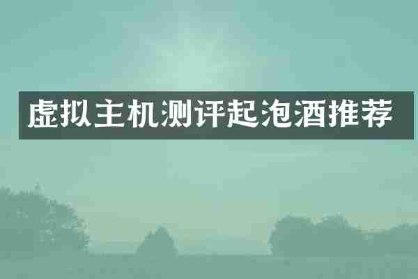 虚拟主机测评起泡酒推荐