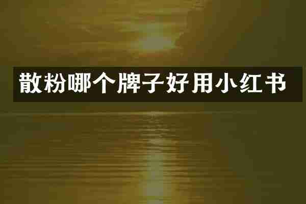 散粉哪个牌子好用小红书