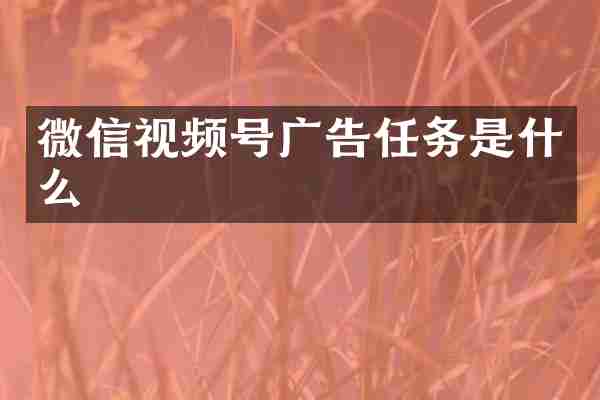微信视频号广告任务是什么