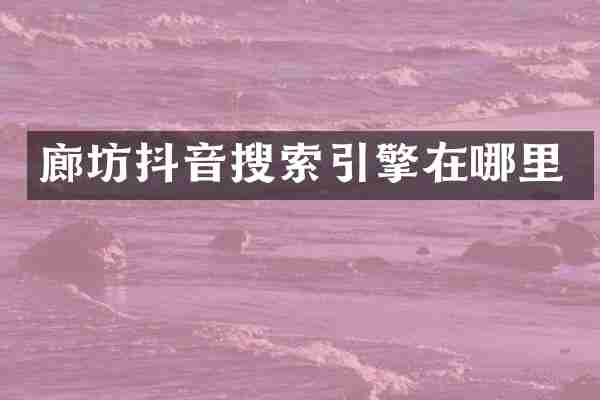廊坊抖音搜索引擎在哪里