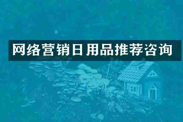 网络营销日用品推荐咨询