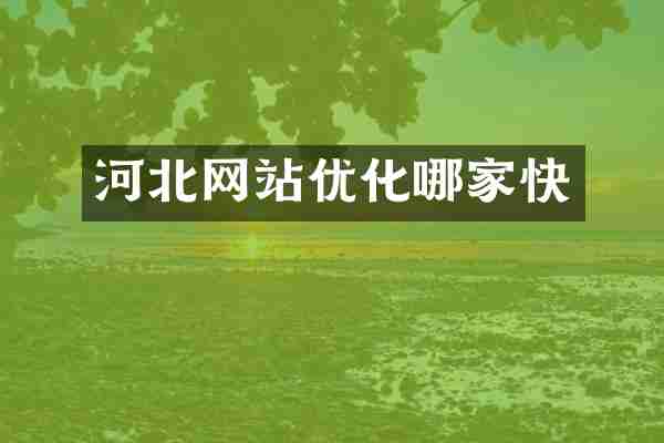 河北网站优化哪家快