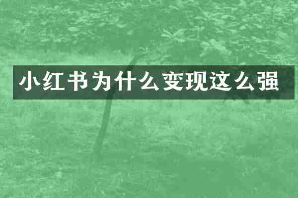 小红书为什么变现这么强