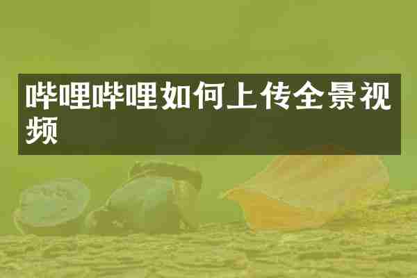 哔哩哔哩如何上传全景视频