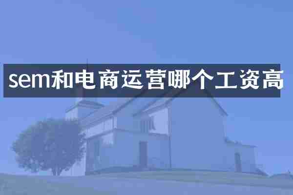 sem和电商运营哪个工资高