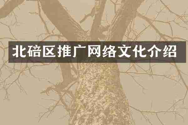 北碚区推广网络文化介绍