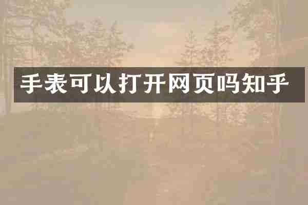 手表可以打开网页吗知乎