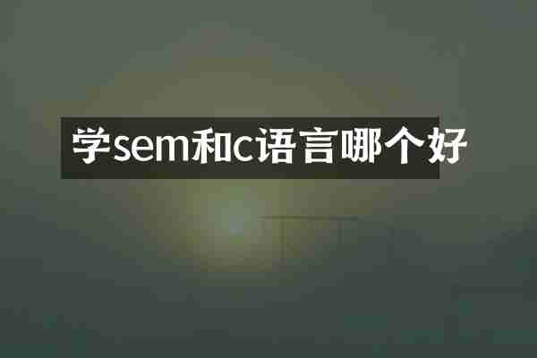 学sem和c语言哪个好
