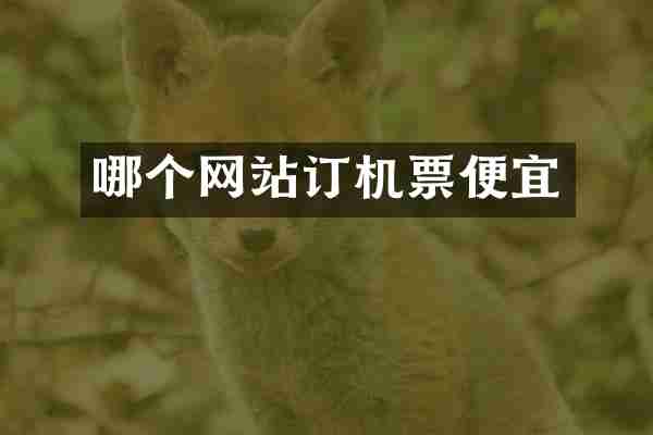 哪个网站订机票便宜