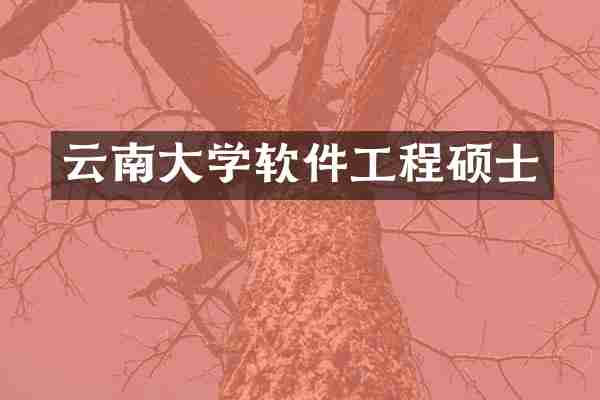 云南大学软件工程硕士