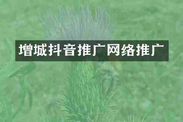 增城抖音推广网络推广