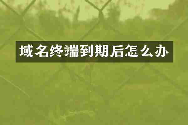 域名终端到期后怎么办