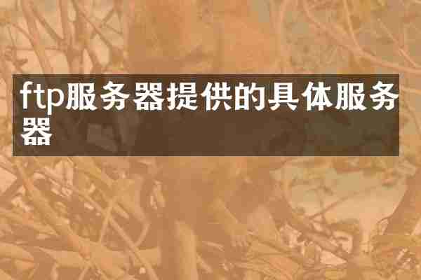 ftp服务器提供的具体服务器