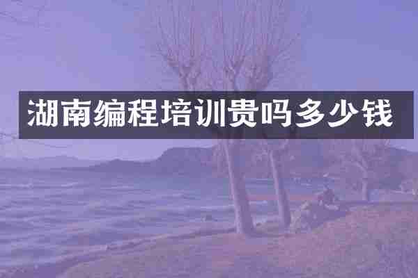 湖南编程培训贵吗多少钱
