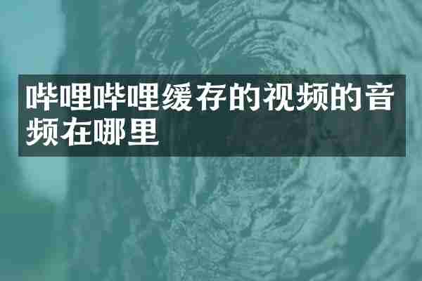 哔哩哔哩缓存的视频的音频在哪里