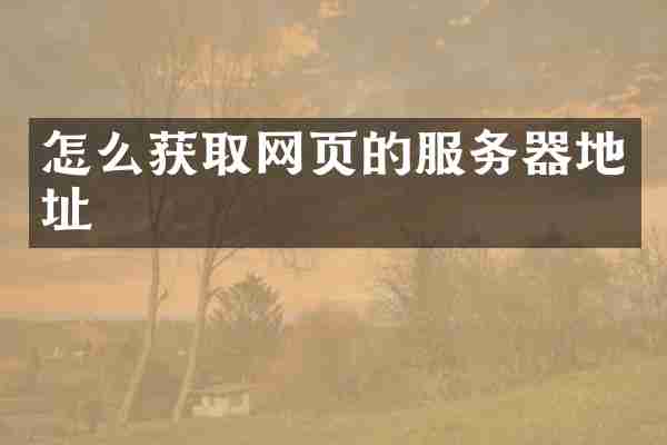 怎么获取网页的服务器地址