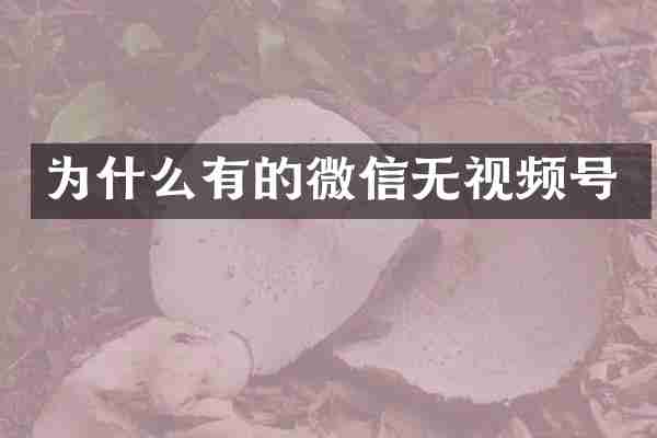 为什么有的微信无视频号