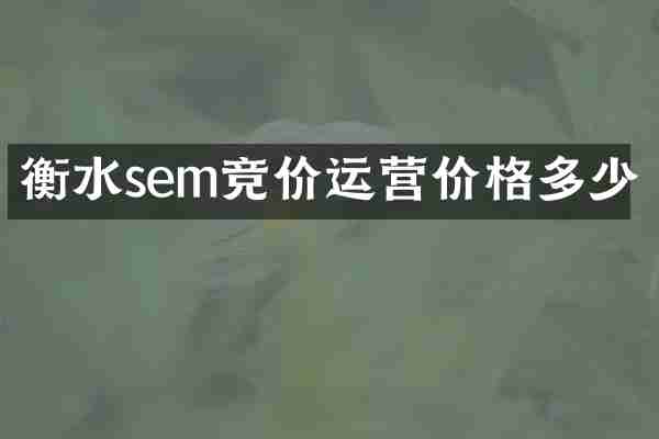 衡水sem竞价运营价格多少