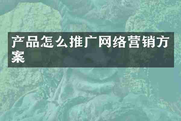 产品怎么推广网络营销方案