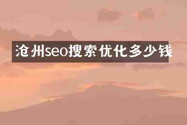 沧州seo搜索优化多少钱