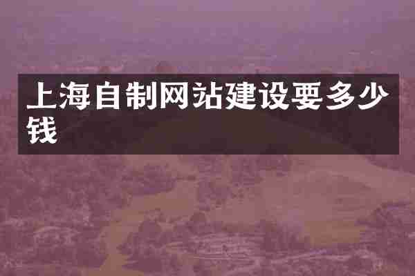 上海自制网站建设要多少钱