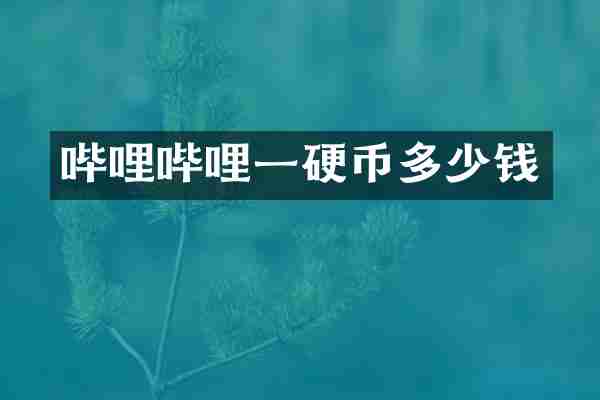 哔哩哔哩一硬币多少钱
