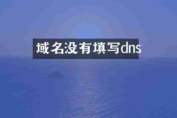 域名没有填写dns
