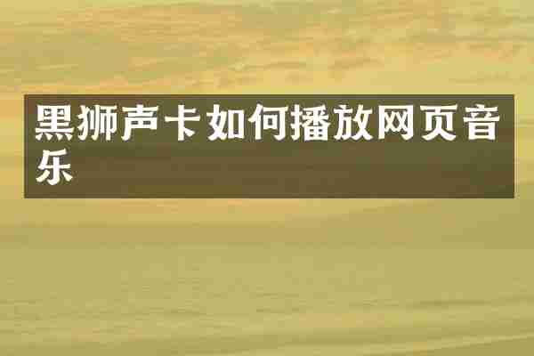 黑狮声卡如何播放网页音乐