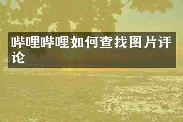 哔哩哔哩如何查找图片评论