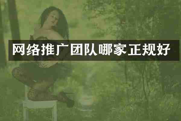 网络推广团队哪家正规好