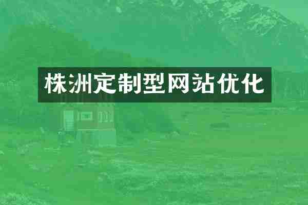 株洲定制型网站优化