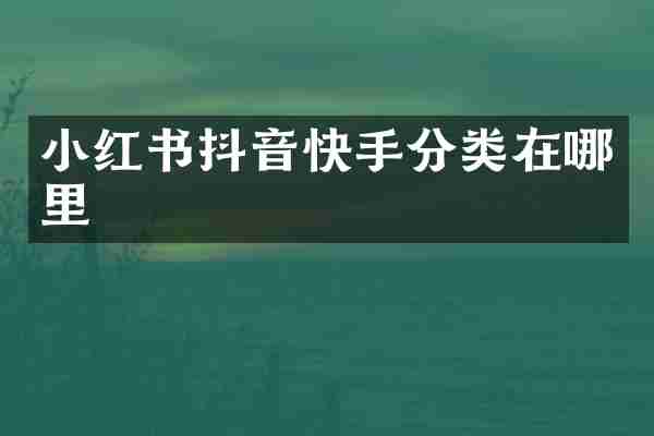 小红书抖音快手分类在哪里